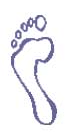 Normal Feet